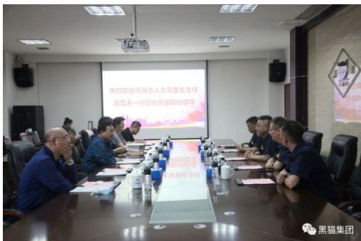 與會人員就烏海黑貓項目進行了深入探討