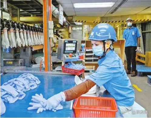 轉嫁額外成本是馬來西亞手套制造商面臨的一大挑戰(zhàn)