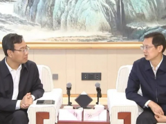 六安市委書記方正考察玲瓏輪胎