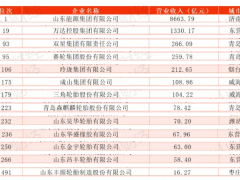 2024山東500強，輪胎企業(yè)大放異彩！