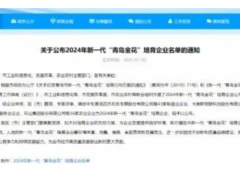 青島公布2024“青島金花”企業(yè)名單，輪胎三杰上榜！