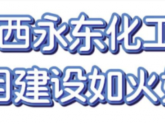 山西永東，項(xiàng)目建設(shè)如火如荼！