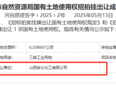 3200萬元！炭黑廠競得一塊工業(yè)用地！